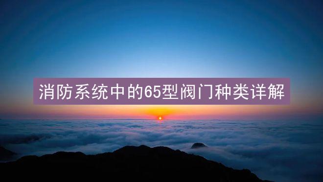 消防系统中的65型阀门种类详解